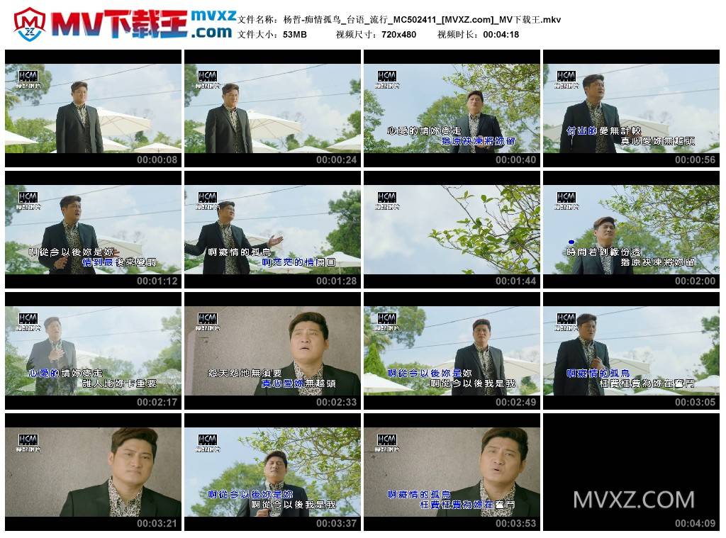 杨哲-痴情孤鸟_台语_流行_MC502411